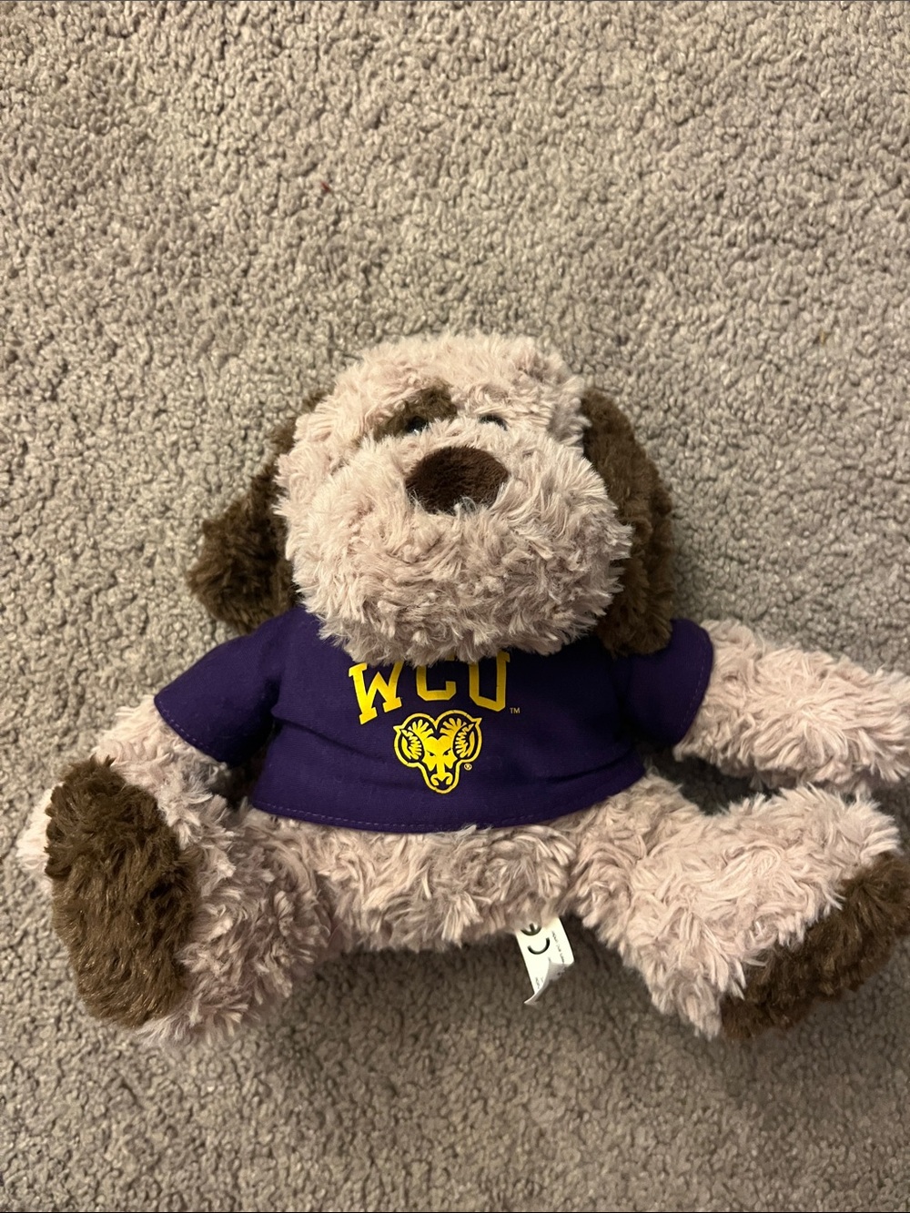 WCU Plush Puppy Stuffed Animal in Purple and Brown